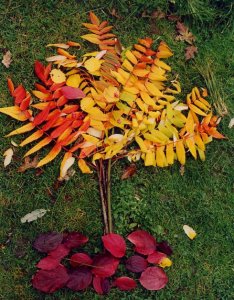 Land Art: Baum