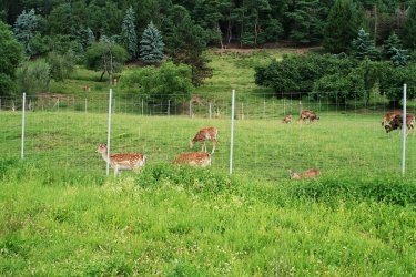 Tierpark