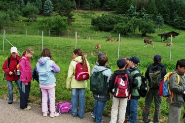 Tierpark