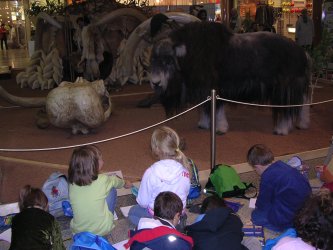 Ausstellung