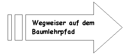 Wegweiser auf dem Baumlehrpfad